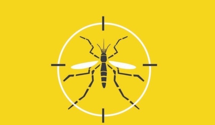 Boletins da dengue, chikungunya e Zika serão publicados diariamente