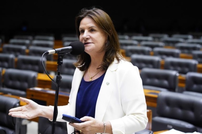 Projeto que deu origem à lei foi apresentado por Carmen Zanotto - (Foto: Pablo Valadares/Câmara dos Deputados)