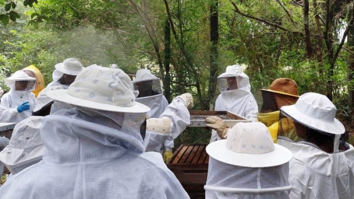 Servidores da Seapi passaram por treinamento teórico-prático para ir a campo -Foto: André Witt