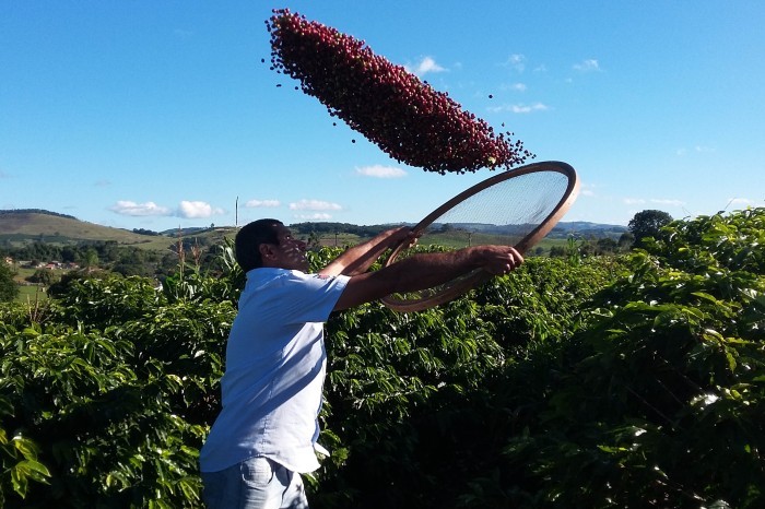 Foto: IDR-PARANÁ
