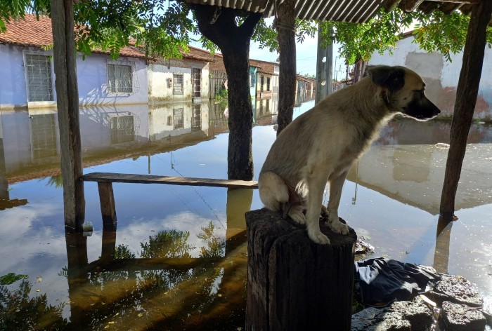 © Gabriel Correa/Agência Brasil