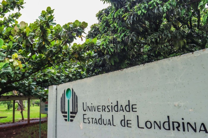 Projeto da UEL recruta gêmeos e familiares para atendimento psicológico gratuito
