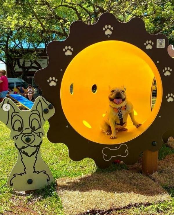 Sorriso contará com parque para pets