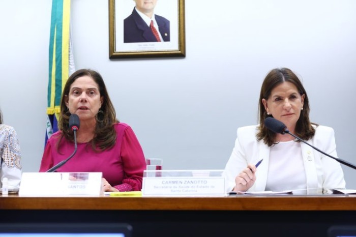 Deputada Soraya Santos (E) e Carmen Zanotto, secretaria de Saúde de SC - (Foto: Vinicius Loures/Câmara dos Deputados)