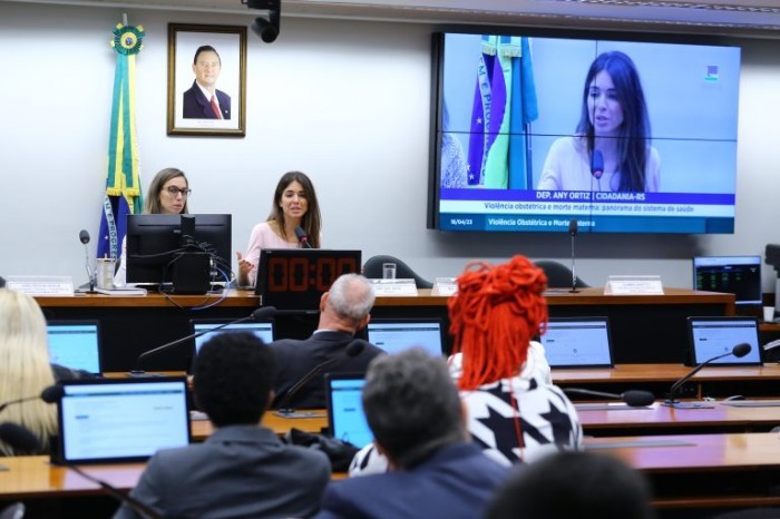 Comissão sobre violência obstétrica reunida na Câmara - (Foto: Vinicius Loures/Câmara dos Deputados)