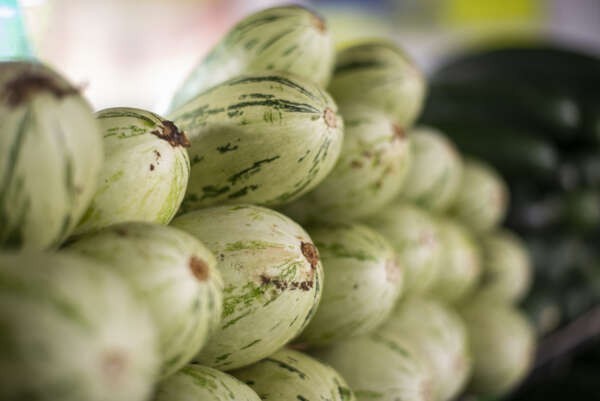 Preço da abobrinha italiana cai 33,33% na Ceasa em Tianguá