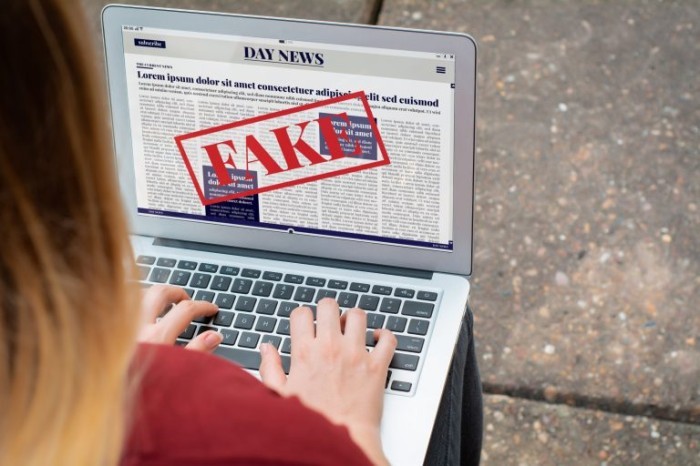 Audiência na Câmara debate disseminação de ódio e fake news no ambiente virtual