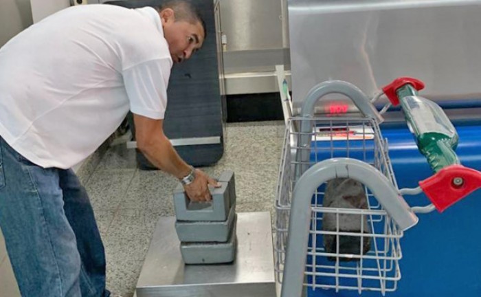 Para a ação, a equipe utilizou as cargas (bagagens) de passageiros para verificar a fidelidade do peso da balança - Foto: Brenda Ramos/Governo do Tocantins