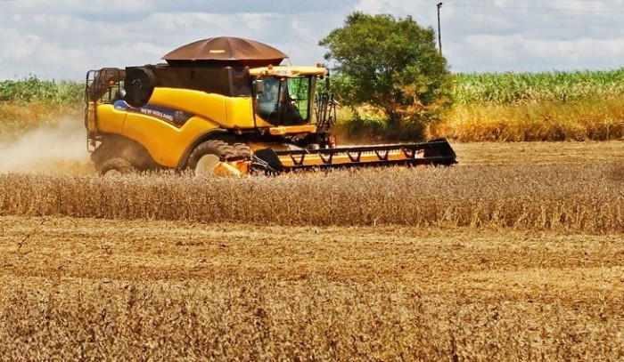Balança comercial de MS acumula superávit de US$ 2,009 bilhões no ano, aumento de 20%