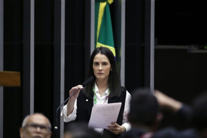 Amália Barros, relatora do projeto - (Foto: Bruno Spada/Câmara dos Deputados)
