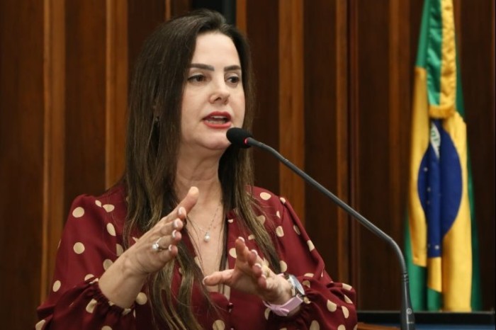 Costa Rica: Asfalto da MS-135 é solicitado por deputada ao governo estadual