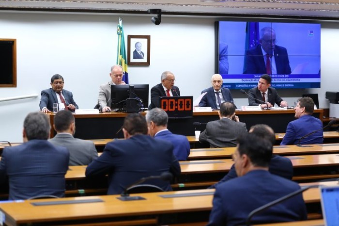 Audiência conjunta das comissões de Finanças e Tributação; e de Minas e Energia - (Foto: Vinicius Loures/Câmara dos Deputados)
