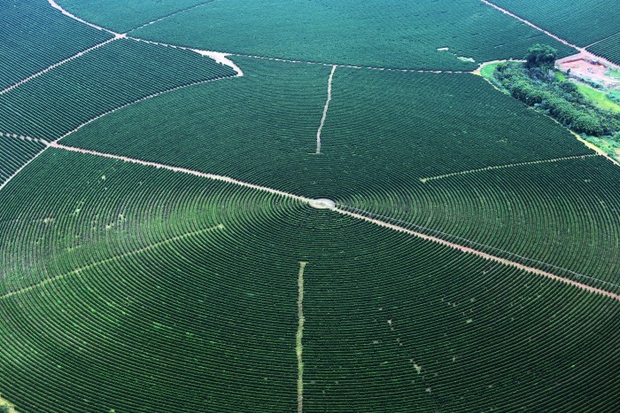 Irrigação com pivô central em Alfenas (MG) - Foto: Raylton Alves / Banco de Imagens ANA