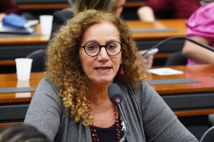 Jandira Feghali recomendou a aprovação de substitutivo - (Foto: Pablo Valadares/Câmara dos Deputados)