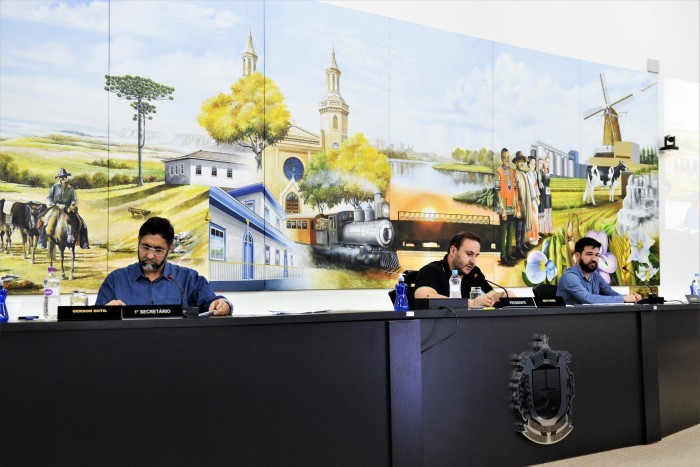 Foto: Reprodução/Câmara Municipal de Castro - PR