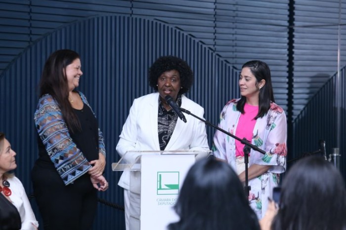 Benedita da Silva (C): “Precisamos mudar essa realidade de sub-representação - (Foto: Billy Boss/Câmara dos Deputados)
