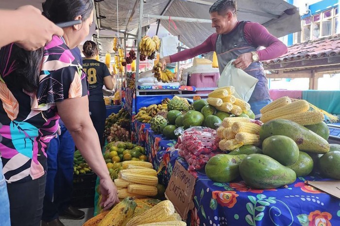 Uepa recebe Feira da Reforma Agrária no Centro de Ciências Sociais e Educação
