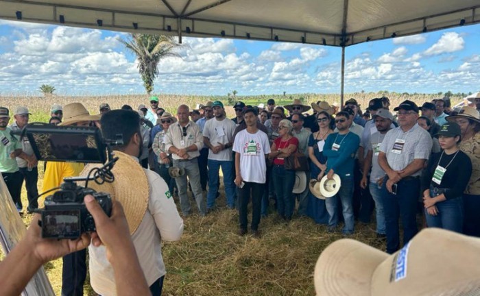 Ruraltins promove Dia de Campo do ABC Corte na Fazenda Araguaiana, em Araguatins - Foto: Ruraltins/Governo do Tocantins
