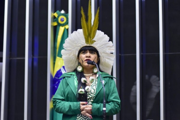 Para Célia Xakriabá, PL 490/07 é um perigo para a humanidade - (Foto: Zeca Ribeiro/Câmara dos Deputados)