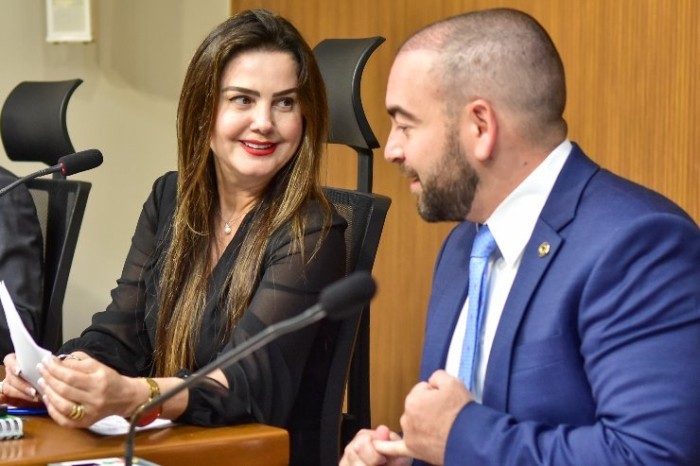 Dia Estadual do Artista Visual: aprovada, proposta vai para sanção do Governo MS