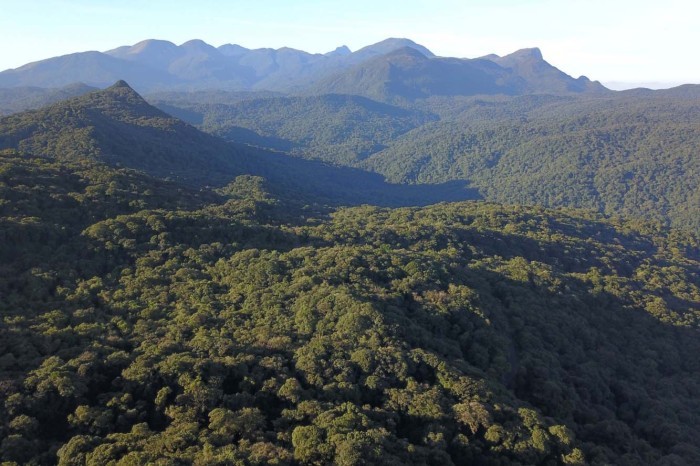 Foto: Reprodução/Secom Paraná