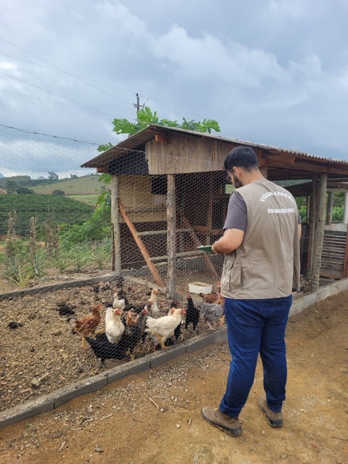 Influenza aviária: Idaf reforça ações de orientação à população e vigilância das propriedades