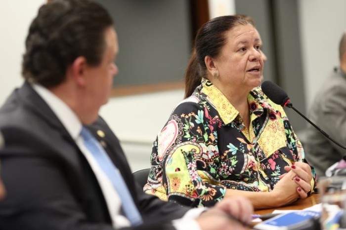 A relator, deputada Laura Carneiro, recomendou a aprovação da proposta - (Foto: MyKe Sena/Câmara dos Deputados)
