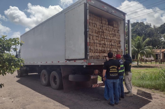 Crédito: Divulgação