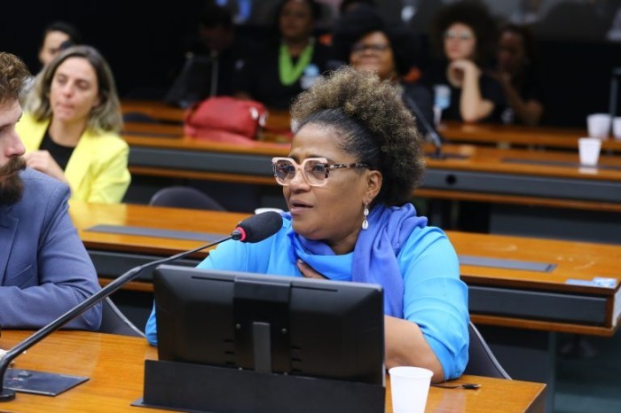 Reginete Bispo defende proposta pedagógica especifica para idosos na EJA - (Foto: Vinicius Loures/Câmara dos Deputados)
