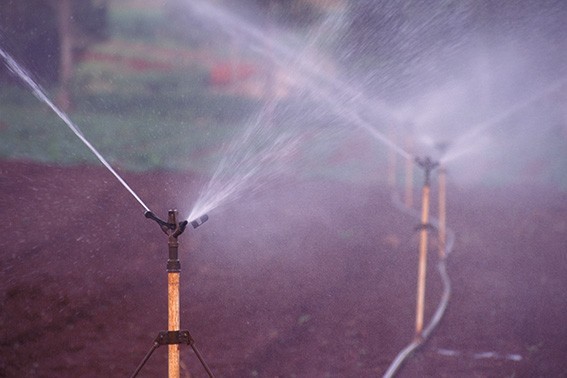 Irrigação - Foto: Zig Koch / Banco de Imagens ANA