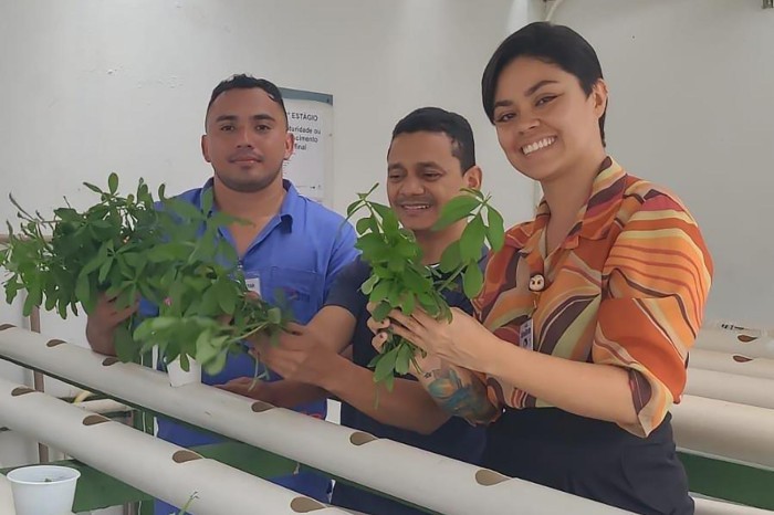 Crédito: Joelza Silva / Ascom HJB