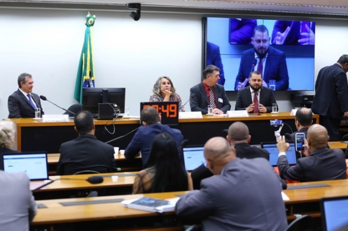 Érika Kokay (C), informou que grupo de trabalho vai formular proposta de regulamentação - (Foto: Vinicius Loures/Câmara dos Deputados)
