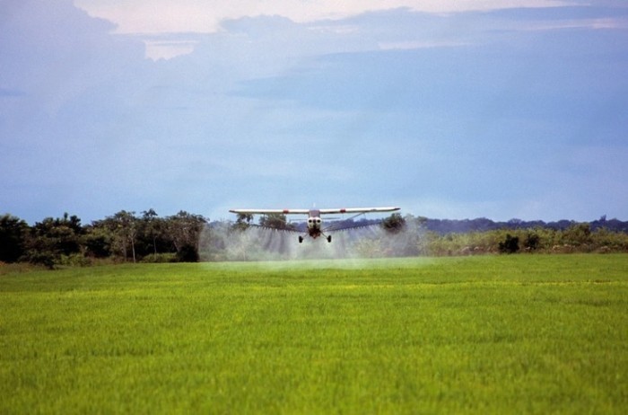 PGE-CE assegura no STF constitucionalidade da lei que proíbe pulverização aérea de agrotóxico no Ceará
