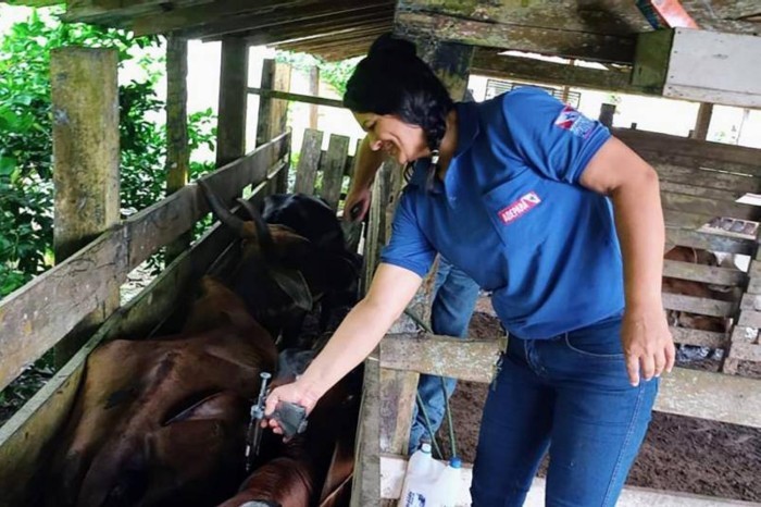 Crédito: Divulgação