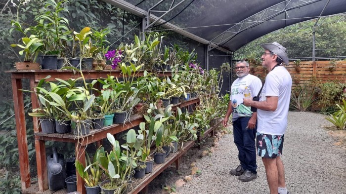 Lançada neste domingo (4), no Viva o Parque, campanha que incentiva a troca de mudas de nativas por alimentos