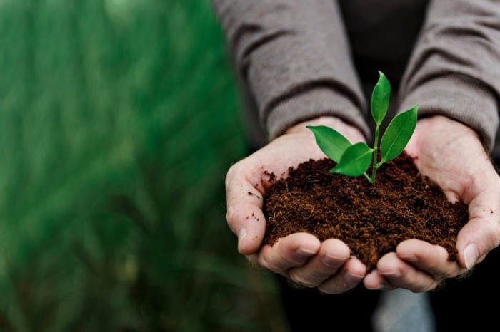 Sustentabilidade e desenvolvimento econômico caminham juntos no Bandes