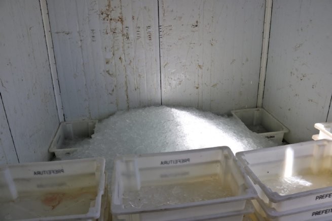 Foto: Divulgação | PMSS