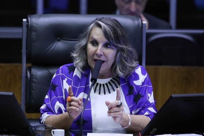 O debate foi pedido pela deputada Erika Kokay - (Foto: Bruno Spada/Câmara dos Deputados)