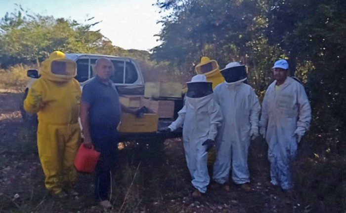 O objetivo da visita foi renovar a parceria entre o Ruraltins e a Escola, além de verificar a produção de abelhas ápis melíferas e meliponíneas, foi também realizar a limpeza e divisão das caixas - Foto: Ruraltins/Governo do Tocantins