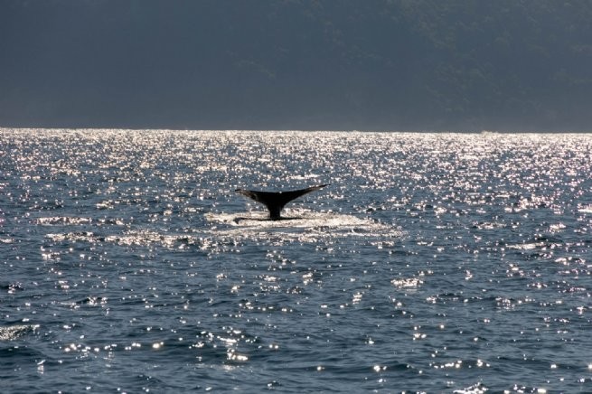 Foto: André Santos | Depcom \ Pmss