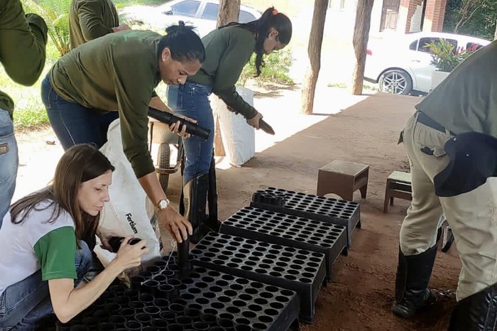 Ideflor-Bio integra programações pela Semana do Meio Ambiente em Tucuruí