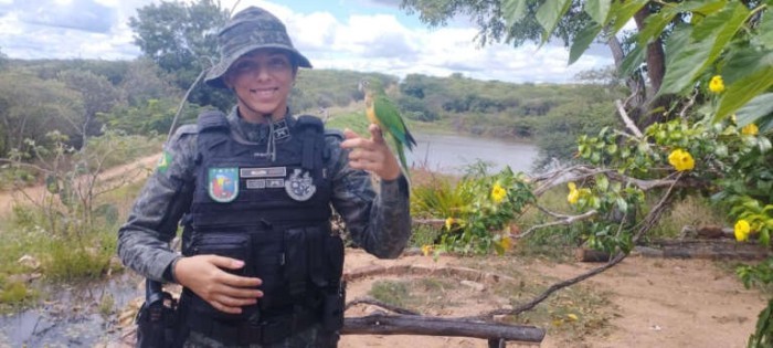 Polícia Militar devolve 65 aves e três cobras à natureza