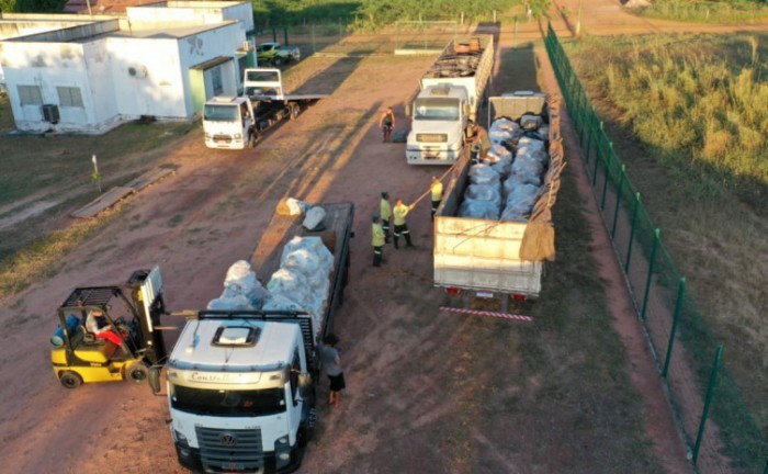 Três caminhões carregados trouxeram os fósseis vegetais de Brasília ao Tocantins - Foto: Rodrigo Sávio/Naturatins