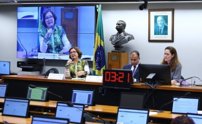 Reunião da Comissão de Previdência, Assistência Social, Infância, Adolescência e Família - (Foto: Vinicius Loures/Câmara dos Deputados)