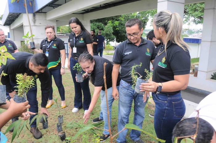 SSP-AM realiza plantio de mudas para celebrar o Dia do Meio Ambiente