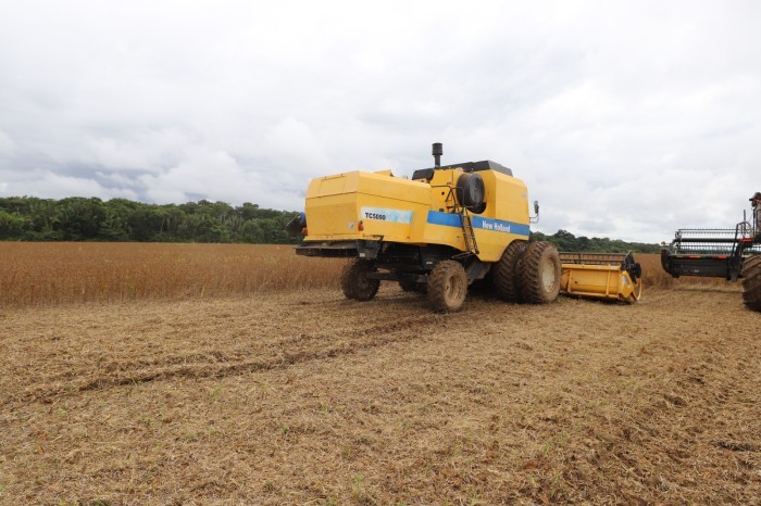 Vazio sanitário: No Amazonas, presença de soja está proibida a partir desta quinta-feira (15/06)