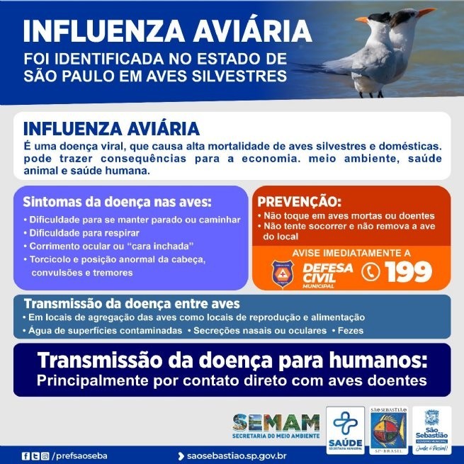 Foto: Reprodução/Prefeitura de São Sebastião - SP