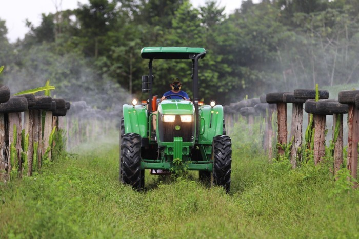 Novas tecnologias podem ser acessadas por meio do crédito rural no Amazonas