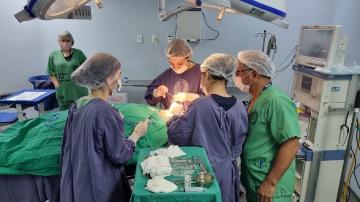 Jornada de cirurgia dermatológica acontece neste sábado nas Fundações Alfredo da Matta e Adriano Jorge  