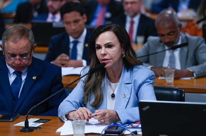 Audiência com representantes do MEC, dos estados e da rede privada foi proposta pela Professora Dorinha Seabra - Foto: Edilson Rodrigues/Agência Senado